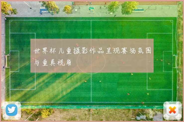 世界杯儿童摄影作品呈现赛场氛围与童真视角